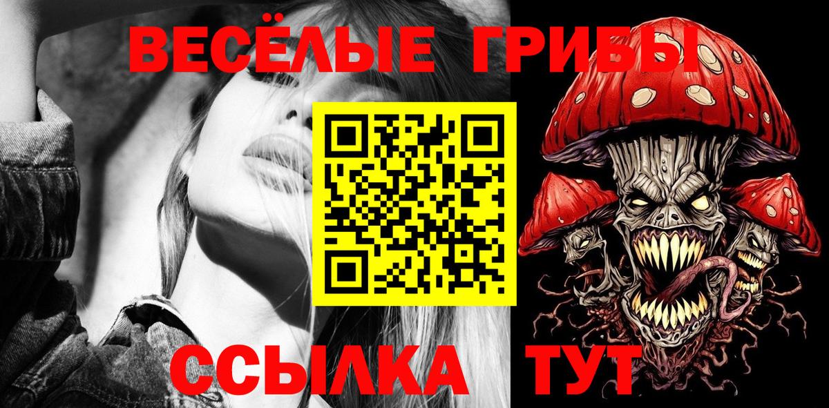 Алейск  наркотики  Вход с VPN  Псилоцибиновые грибы Cubensis 